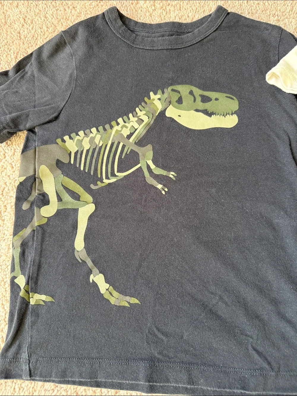 Boys 5T Black & Cream Short Sleeve Tee with Green Dinosaur Prints